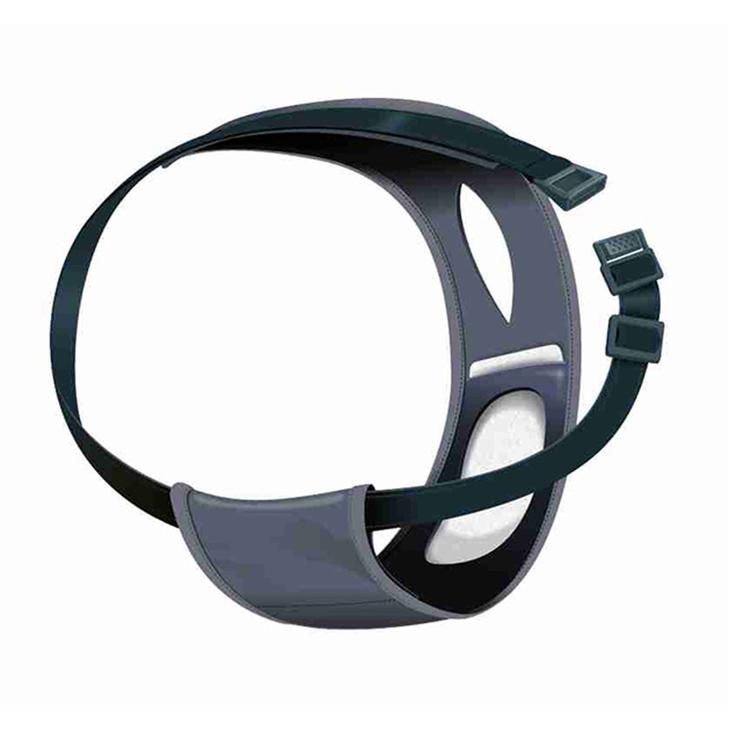 Braguitas Protectoras para American Hairless Terrier