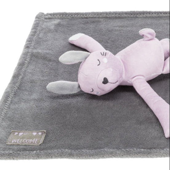 Set Suave para perros sin pelo